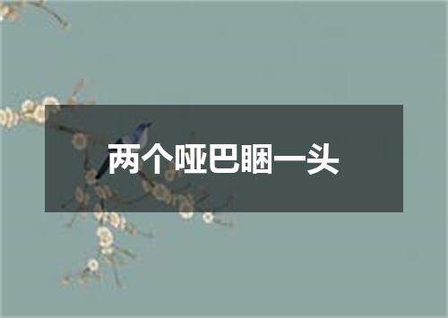 两个哑巴睏一头