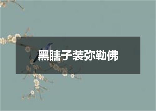黑瞎子装弥勒佛