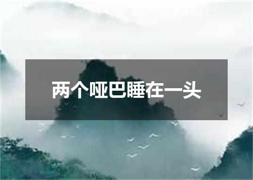 两个哑巴睡在一头