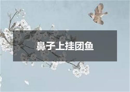 鼻子上挂团鱼