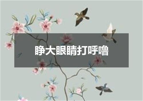睁大眼睛打呼噜