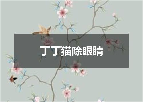 丁丁猫除眼睛