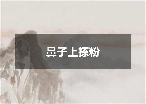 鼻子上搽粉