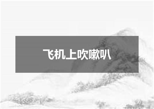 飞机上吹嗽叭