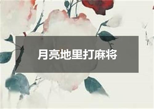月亮地里打麻将
