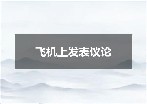 飞机上发表议论