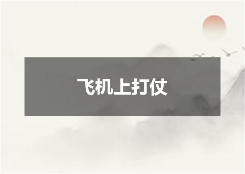 飞机上打仗