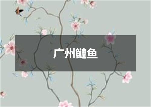 广州鰱鱼