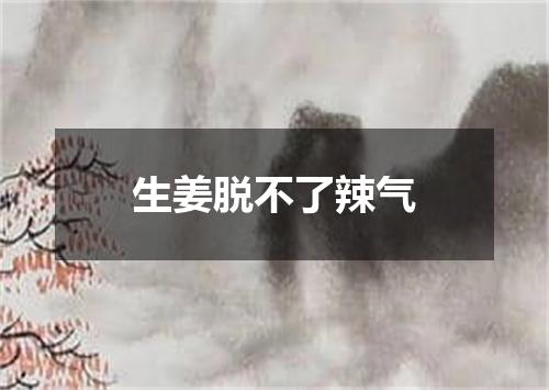 生姜脱不了辣气