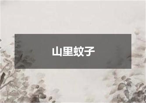山里蚊子