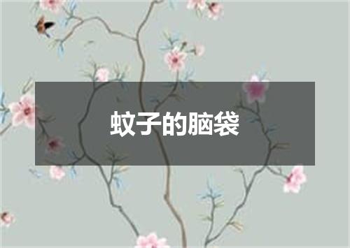 蚊子的脑袋