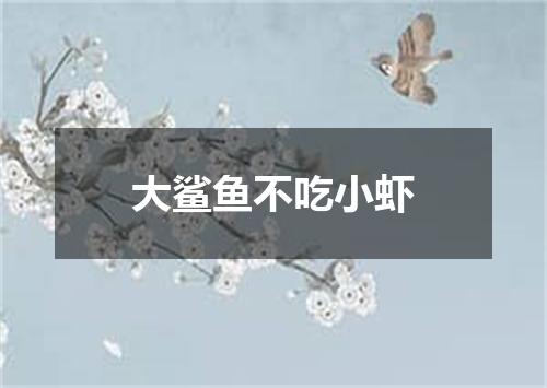 大鲨鱼不吃小虾