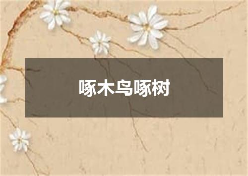 啄木鸟啄树