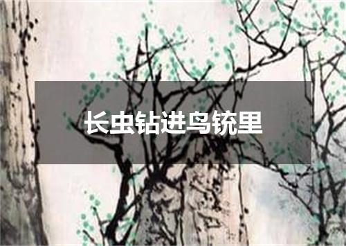 长虫钻进鸟铳里