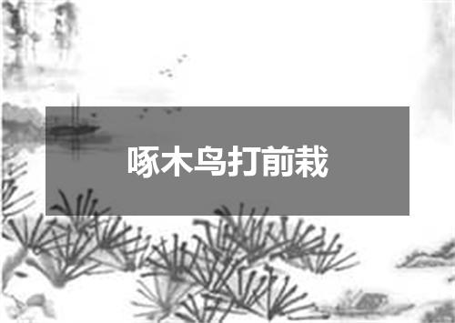 啄木鸟打前栽