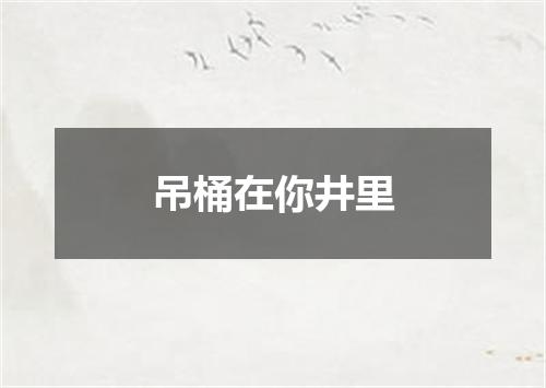 吊桶在你井里