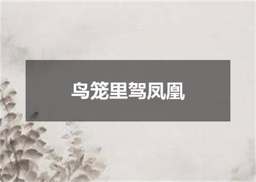 鸟笼里驾凤凰