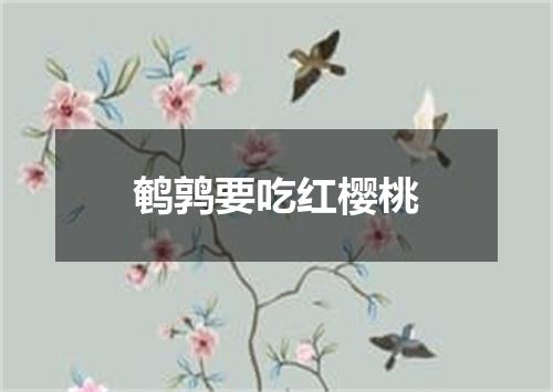 鹌鹑要吃红樱桃