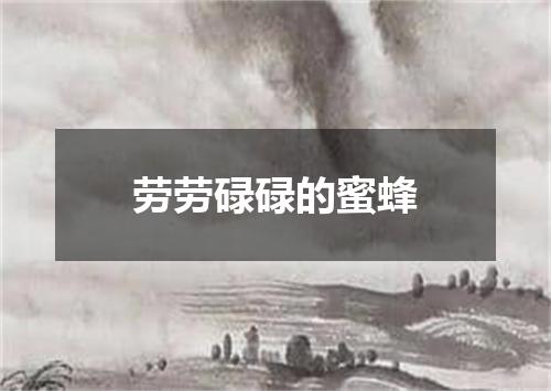 劳劳碌碌的蜜蜂