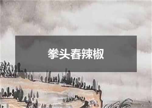 拳头舂辣椒