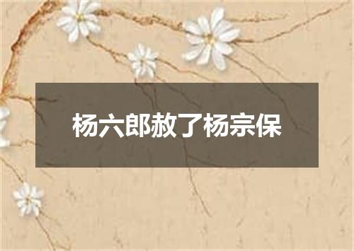 杨六郎赦了杨宗保