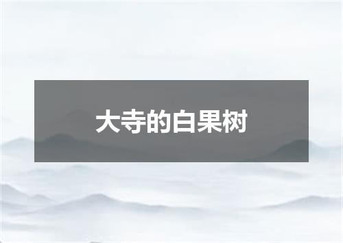 大寺的白果树