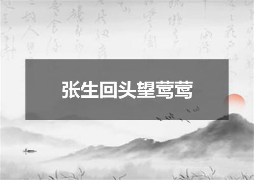 张生回头望莺莺