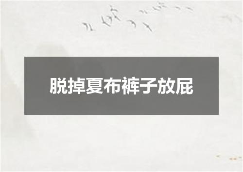 脱掉夏布裤子放屁