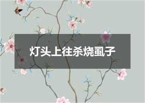 灯头上往杀烧虱子