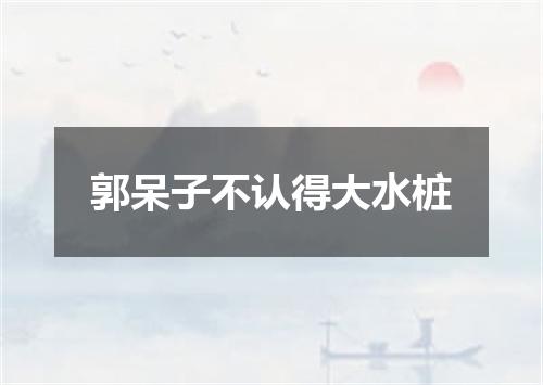 郭呆子不认得大水桩
