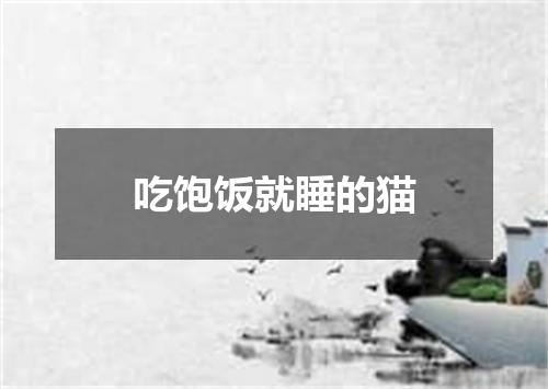 吃饱饭就睡的猫