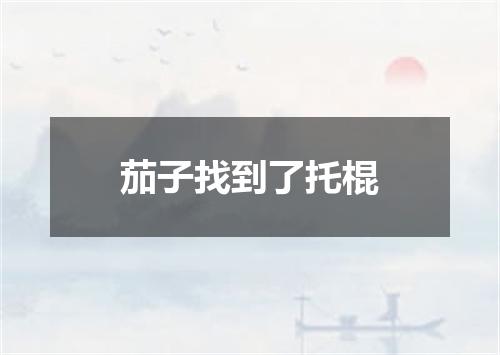 茄子找到了托棍