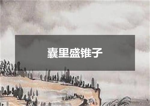 囊里盛锥子