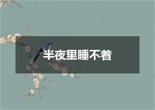 半夜里睡不着