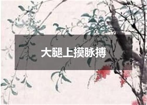 大腿上摸脉搏