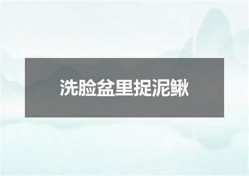 洗脸盆里捉泥鳅