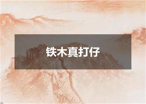铁木真打仔