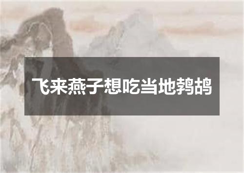 飞来燕子想吃当地鹁鸪