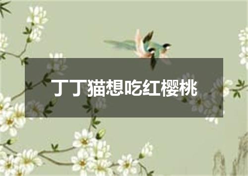 丁丁猫想吃红樱桃