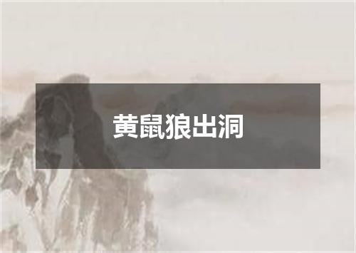 黄鼠狼出洞