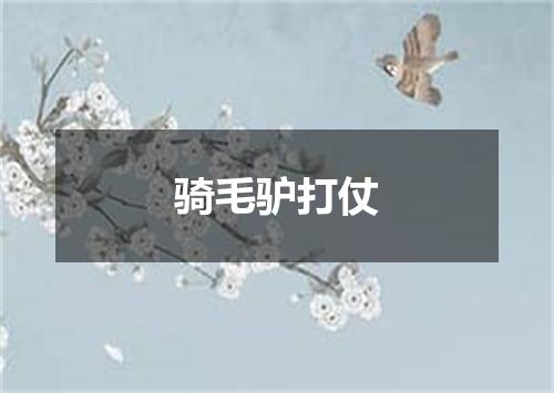 骑毛驴打仗