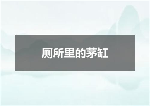 厕所里的茅缸