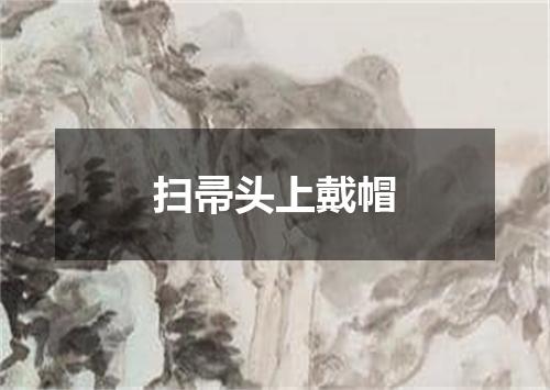 扫帚头上戴帽