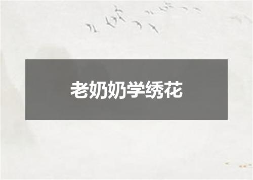 老奶奶学绣花