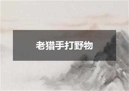 老猎手打野物