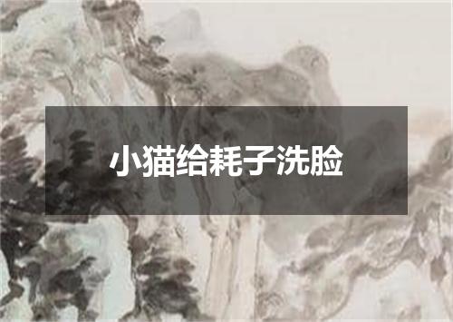 小猫给耗子洗脸