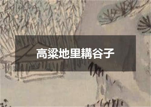高粱地里耩谷子