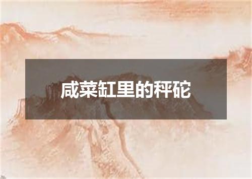 咸菜缸里的秤砣