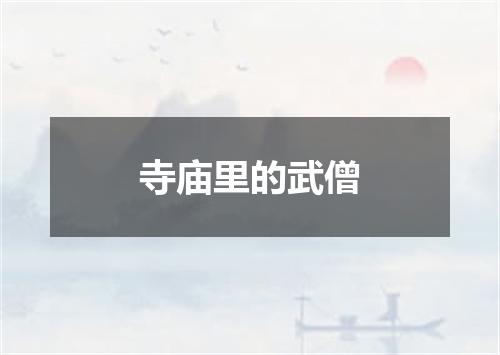 寺庙里的武僧