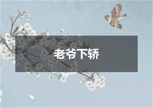 老爷下轿